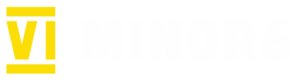 logo_minor6_transpvvv