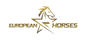 cropped-European-Horses-PNG-final-1